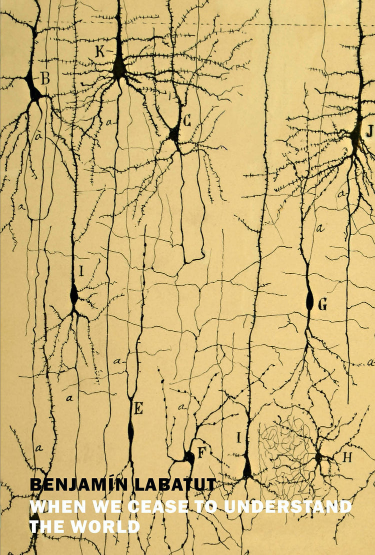 When We Cease To Understand The World