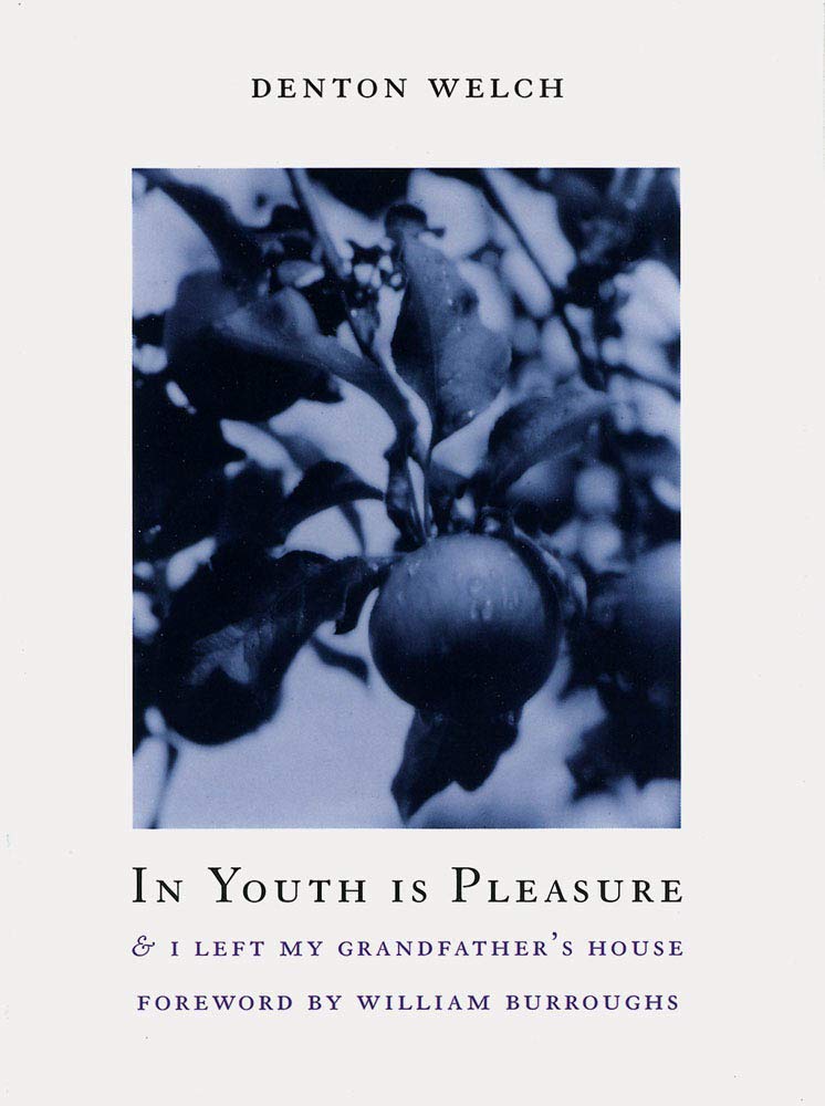 In Youth Is Pleasure