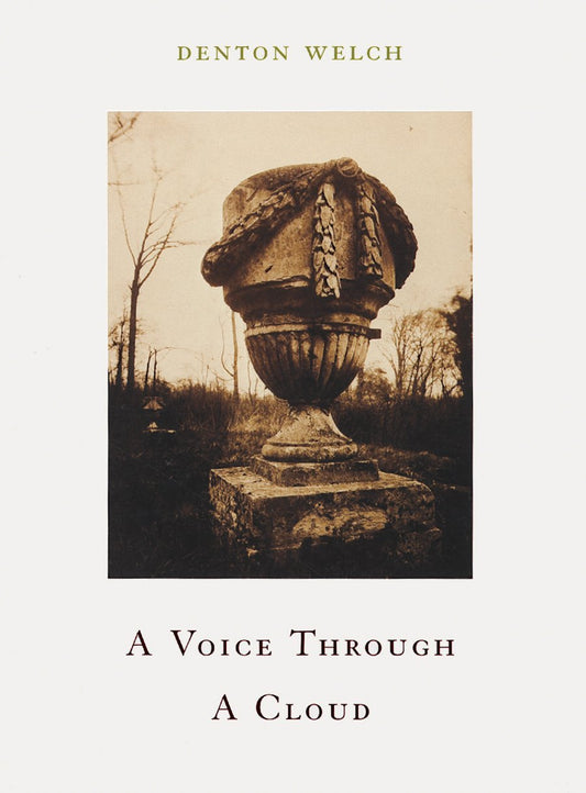 A Voice Through A Cloud